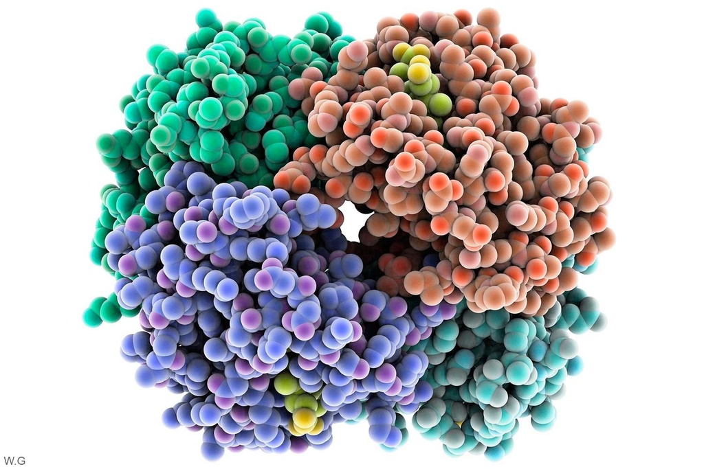 Human FATP3 (Fatty Acid Transport Protein 3) ELISA Kit - 96 Tests