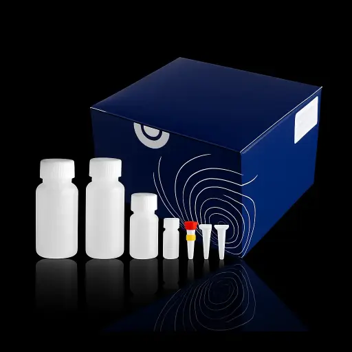  First-Strand cDNA Synthesis Kit (+gDNA wiper) (100 rxns)