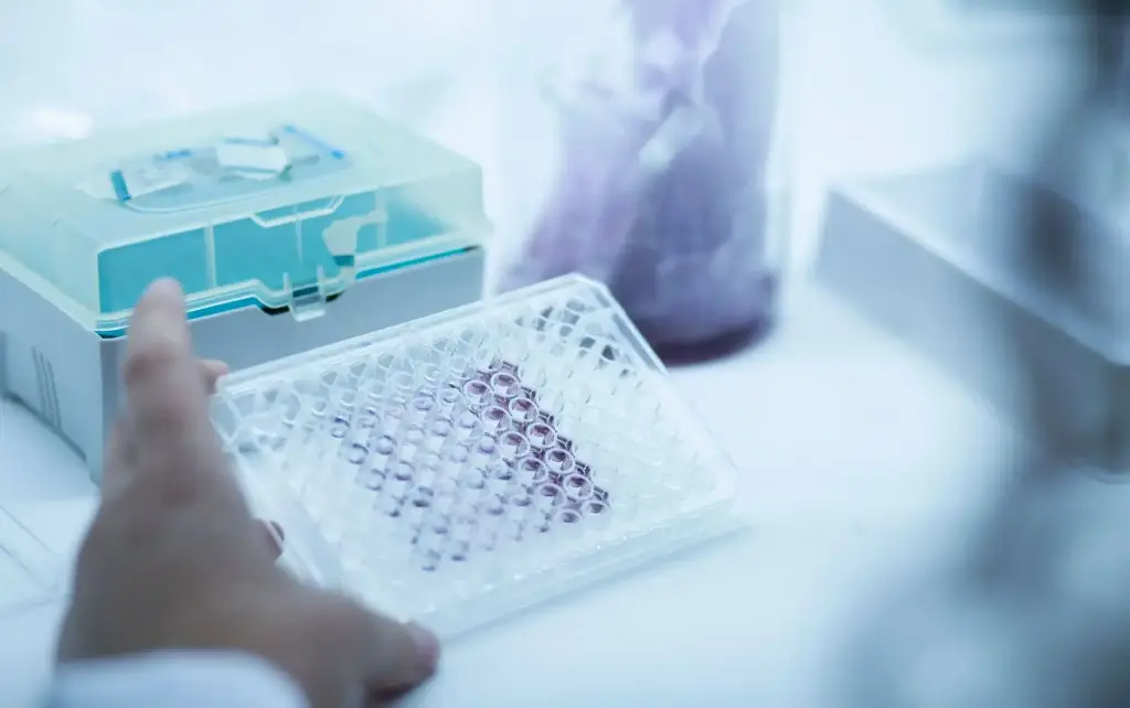Human Parathyroid Pormone 1 Receptor (PTH1R) ELISA Kit