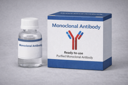 [QZBFBY22-03] Human fibrin Mab