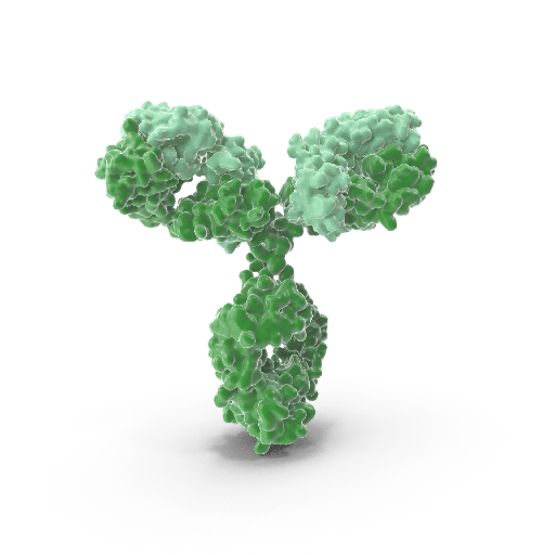 [WG-GB11755-LG] Anti-PP1C gamma Rabbit Polyclonal Antibody - 100 μL