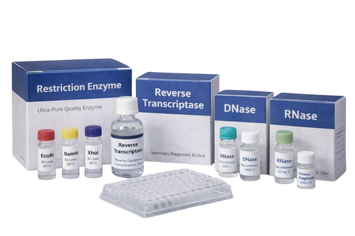 [HBP003003] RNase Assay Kit
 (Fluorescence)