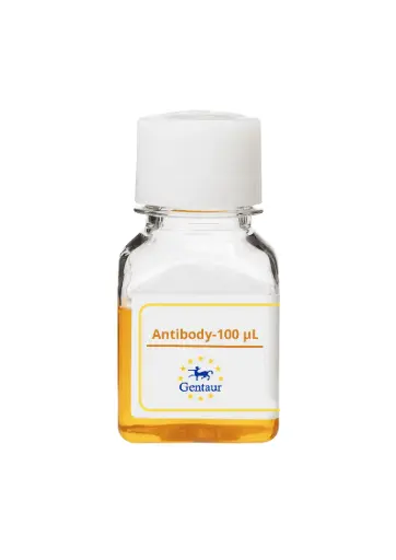 [PA006098GA01HU-100 µL] CST9L Antibody