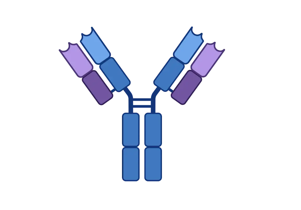 [CSB-0855] AIM2 Antibody  Biotin conjugated   