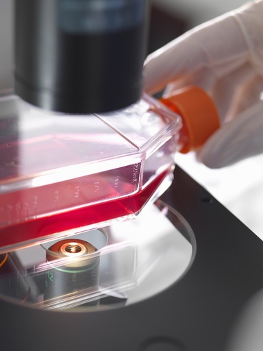 [CELL-SK-519] Mouse Intestinal Myofibroblasts