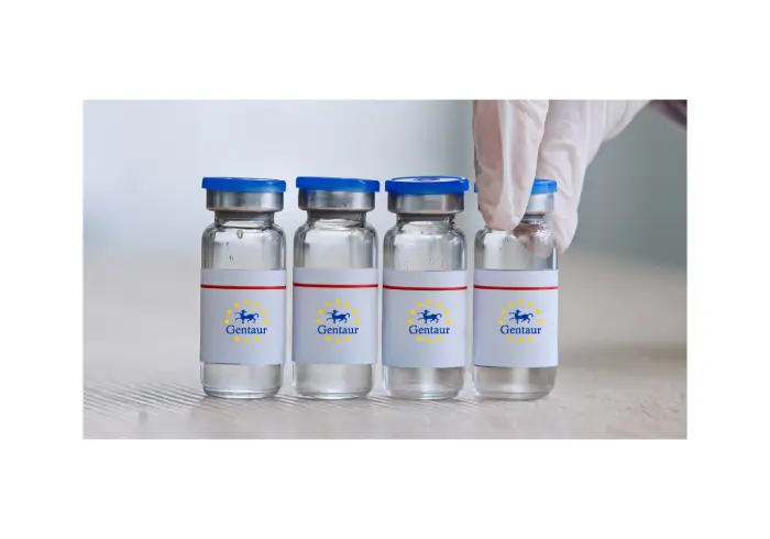 [GEN - VHSV227-1mg] HSV-2 VP13/14