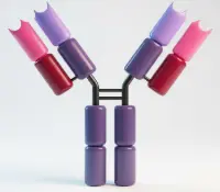 [BOC-1938-04] IgG Antibody 