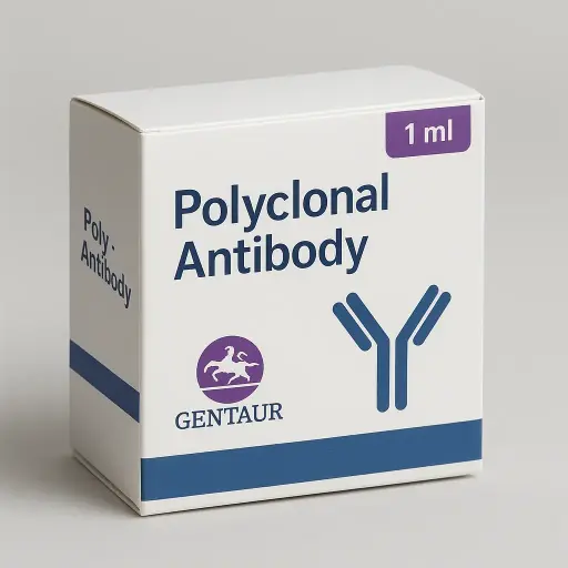 [KIG647] (KO Validated) NUDT1 Polyclonal Antibody